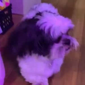 Meet your Posher, Bryan